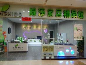 绿净家居 一站式家居与家政服务解决方案