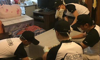 乐山精品搬家服务与室内外装饰工程设计 打造高品质生活空间